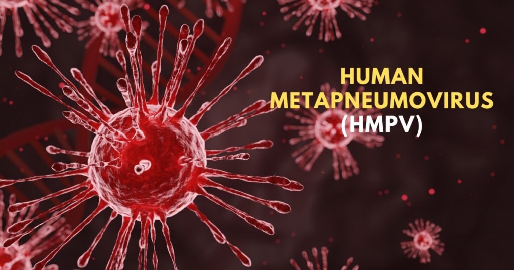 Human metapneumovirus (HMPV)