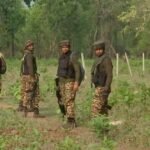 Black Forest Operation