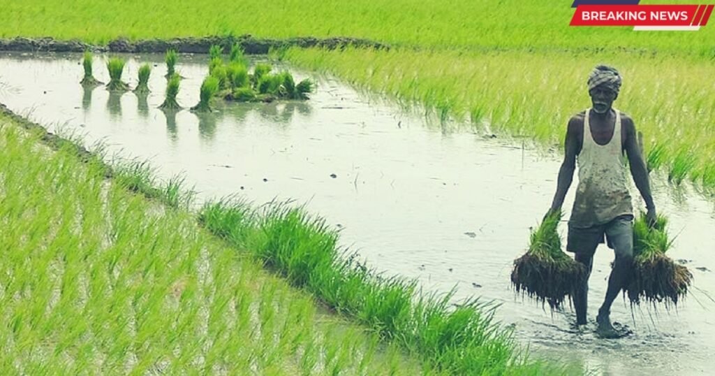 Future Monsoon 2025