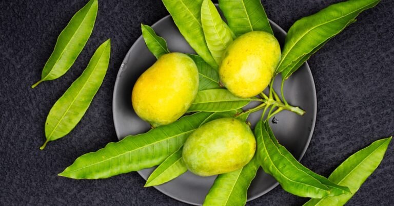 Raw Mango Refreshments