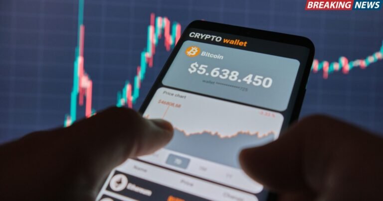 Crypto Wallet Users
