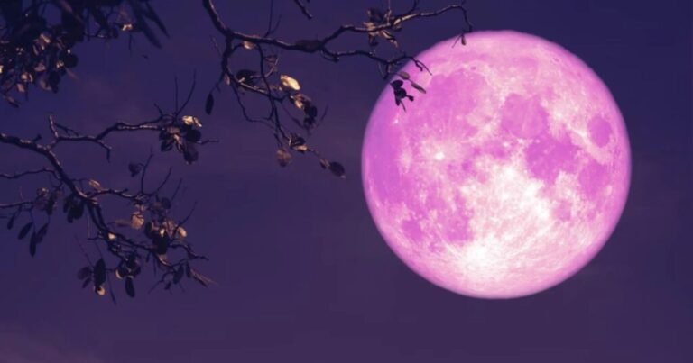 Strawberry Moon